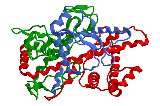 Molecular structure of Cytochrome P450, important hormone