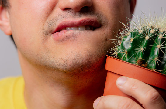man hold cactus near face