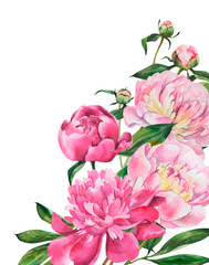 Frame with peonies, peony flowers on isolated white background, watercolor hand drawing. Stock illustration.