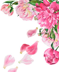 Frame with peonies, peony flowers on isolated white background, watercolor hand drawing. Stock illustration.
