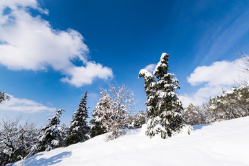 Winter landscape in San Marino with snow