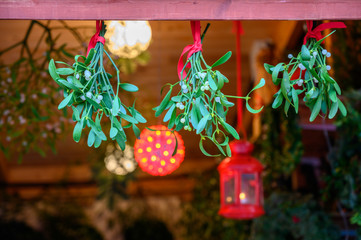Mistletoe branch with leaves and berries