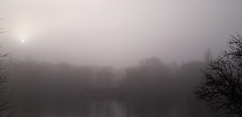 Sad foggy lake and trees landscape in grey