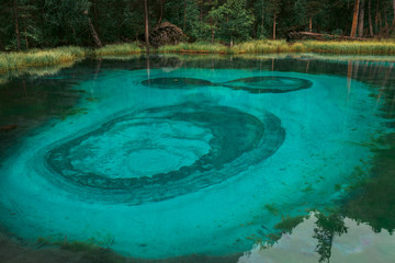 A very beautiful and turquoise geyser lake in Russia, in the Altai Republic. National Reserve. Aqua Menthe color. Mixed forest with pines and cedars