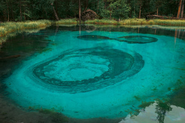 A very beautiful and turquoise geyser lake in Russia, in the Altai Republic. National Reserve. Aqua Menthe color. Mixed forest with pines and cedars