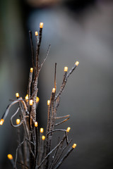 Christmas decoration outside in macro