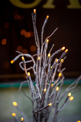 Christmas decoration outside in macro