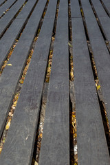 Path of wooden boards with colorful leaves on it in autumn.