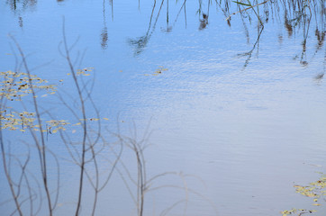 Rural scene with a small pond, background focus. A small pond in dim lighting, closer to evening. Water surface, that adorned by herbs, reflects sky