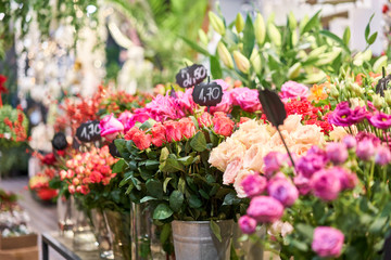 Vases with different colored flowers, showcase flower shop. Beautiful spring bouquets. . Small family business. Work florist. copy space