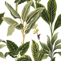 Tapeten Botanischer Druck Tropische Vintage-Palmen, Bananen und Palmblätter floraler nahtloser Musterweißhintergrund. Exotische Dschungeltapete.