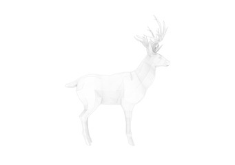 Graphic Animal Isolated on White 3D Rendering