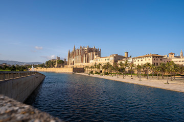 Fototapeta premium La Seu, the gothic medieval cathedral of Palma de Mallorca, Spain