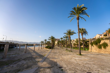 Blick von der Kathedrale La Seu in Palma de Mallorca