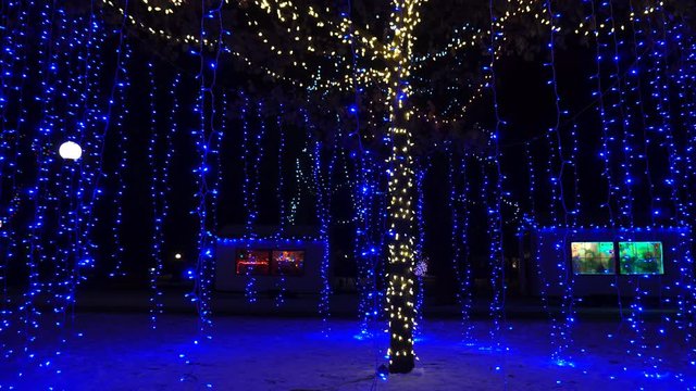 Twinkling Christmas lights cascade from tree and moving with winter breeze over snow covered ground