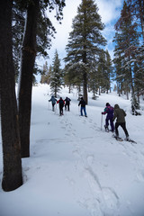 Snowshoe walker raquettes in powder snow Winter hiking