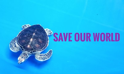 Image of turtle under water with wordings "Save our world"