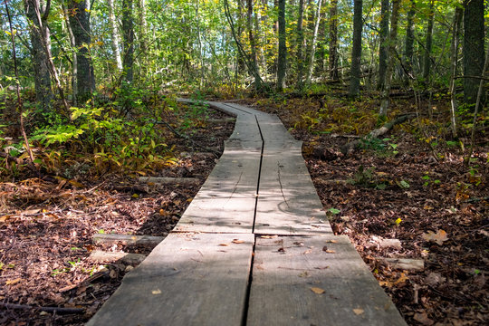 Footpath duckboards on a beautiful summer morning, Finland.