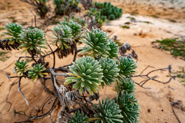 Aruba National Park