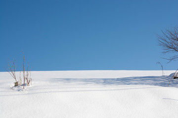 雪原と青空