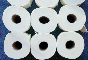 nine rolls of toilet tissue