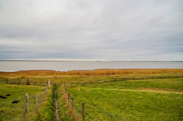 rural landscape with grass field and skyline with sea between belgium and dutch border