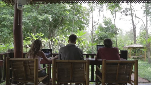 back view 3 digital nomads working in the jungle