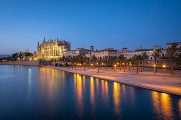 Fototapeta premium La Seu, the gothic medieval cathedral of Palma de Mallorca, Spain