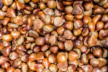 Piles of fresh unpeeled raw chestnuts.