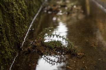 Mystical and magical nature on Levada, open canal system to distribute water from rainfall in wet regions on the north to the drier sun parched regions of the south Madeira. Channel in autumn.