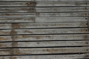 The surface inside the house fence