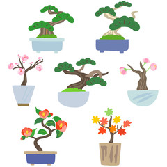 盆栽　インテリア　観葉植物