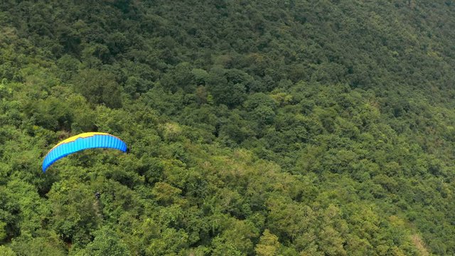 Amazing aerial video of flying paraglider on the background of wild nature. Paraplan drifting above the green tropical trees. Extreme sport. Hipster modern hobby concept. Paraplane flying in the sky.