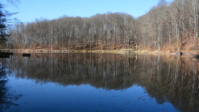Lake Tineretului of Sovata in autumn