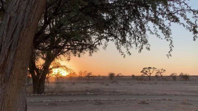 Early morning sunrise in the Kalahari with dust particles from donkeys walking past. Orange glow from a warm sunrise in Africa welcoming you to a new day in this unforgiving environment.