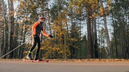 Training an athlete on the roller skaters. Biathlon ride on the roller skis with ski poles, in the helmet. Autumn workout. Roller sport. Adult man riding on skates.