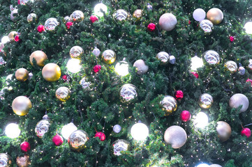 Obraz na płótnie Canvas Chirstmas Ornaments Tree. Color of Christmas Background.