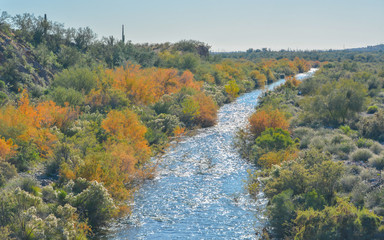 Agua Fria River in the southwest desert of Peoria, Maricopa County, Arizona USA