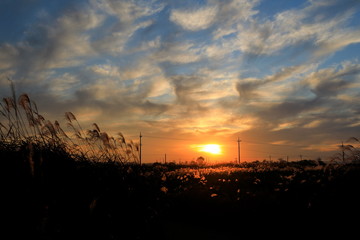 노을이 아름다운 가을 풍경