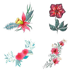 Set of 4 summer colorful tropical flowers. Floral botanical flower set isolated on white background. Hand drawn vector collection. Botanical Hawaii nature. Tropical palm icon. Hawaiian illustration
