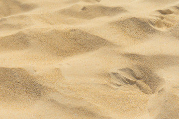 footprints in the sand