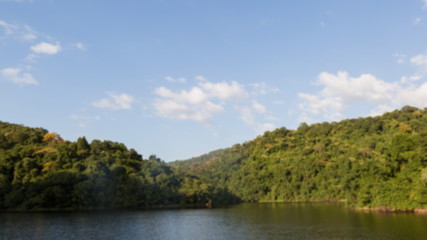 Fototapeta premium lake in the forest