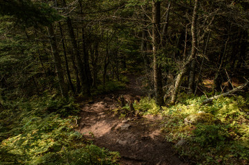 Fundy National Park New Brunswick