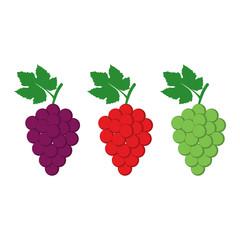 Grape Vector Flat Design Illustration