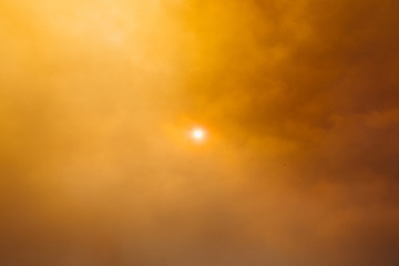 Thick wildfire smoke and amber blocking the sun