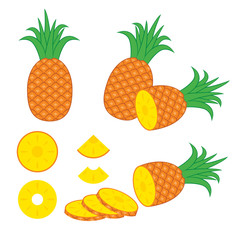 Pineapple Vector Design Illustration