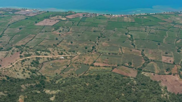 Amazing aerial video of flying paraglider on the background of wild nature. Paraplan drifting above the green tropical trees. Extreme sport. Hipster modern hobby concept. Paraplane flying in the sky.