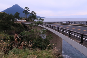 海岸道路と海の側の富士山