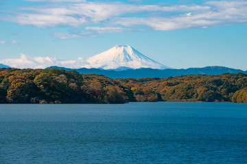 Fototapeta premium Mt. Fuji view from Sayama Lake, Saitama Prefecture Japan