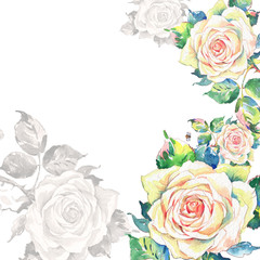 Watercolor floral background of a rose.